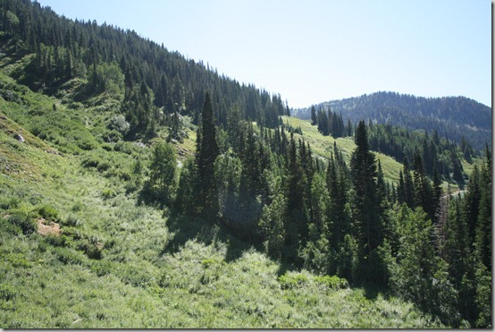 IMG_3453