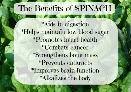 The Benefits of Spinach