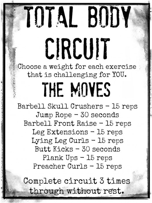 Total Body Circuit - meals & moves