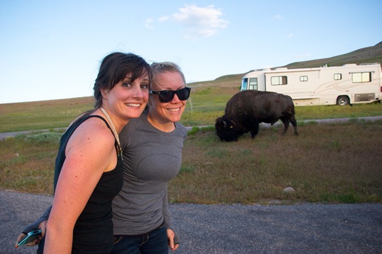 Eeeek it's a bison Janetha and Jenn