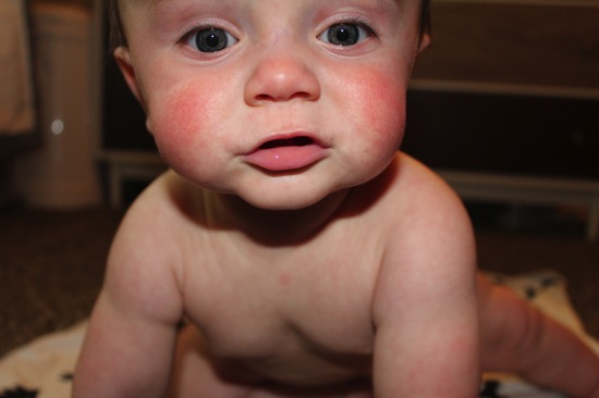 IMG_8414.JPG IMG 8414